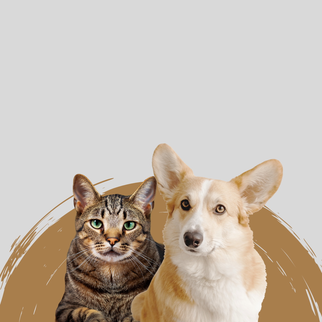 Design sem nome (4).png